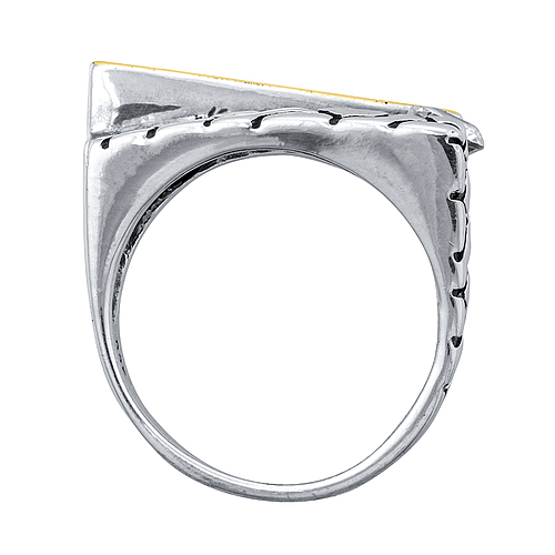 Silver and Gold Ring