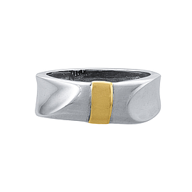 Silver and Gold Ring