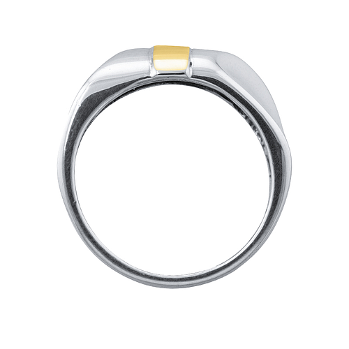 Silver and Gold Ring