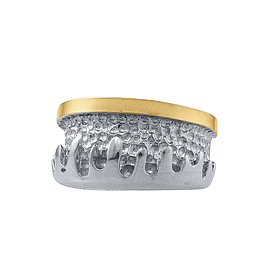 Silver and Gold Ring