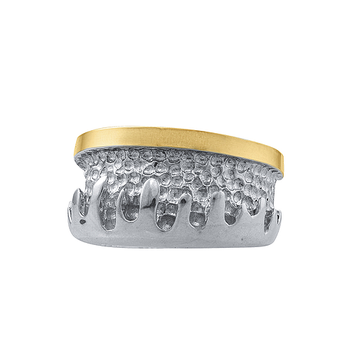 Silver and Gold Ring