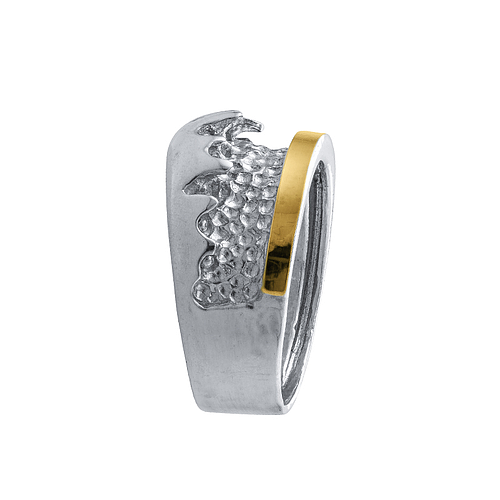 Silver and Gold Ring