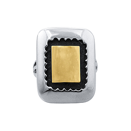 Silver and Gold Ring