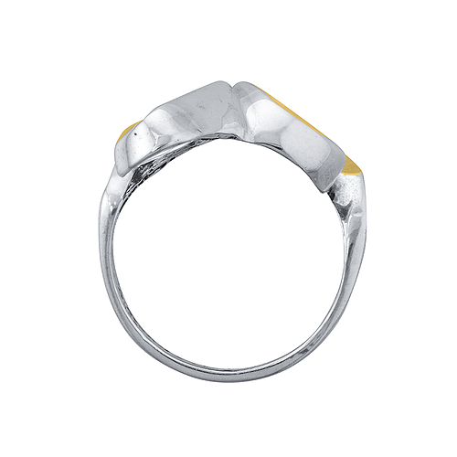 Silver and Gold Ring