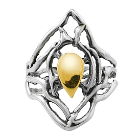 Silver and Gold Ring