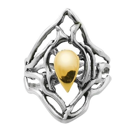 Silver and Gold Ring