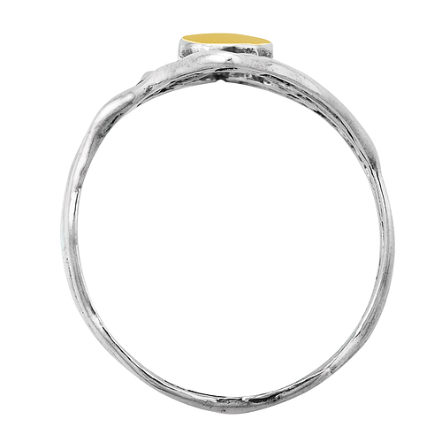 Silver and Gold Ring