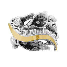 Silver and Gold Ring