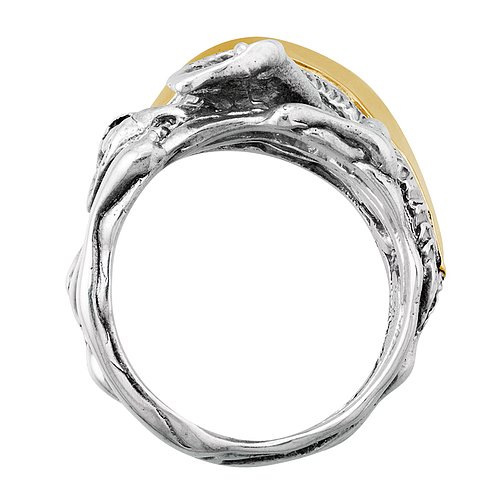 Silver and Gold Ring