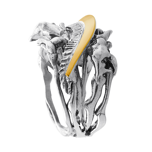 Silver and Gold Ring