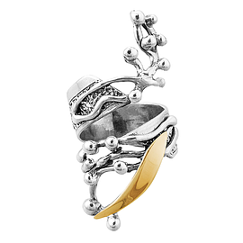 Silver and Gold Ring