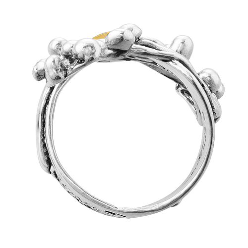 Silver and Gold Ring