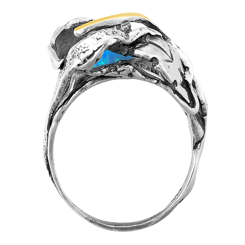 Silver and Gold Ring