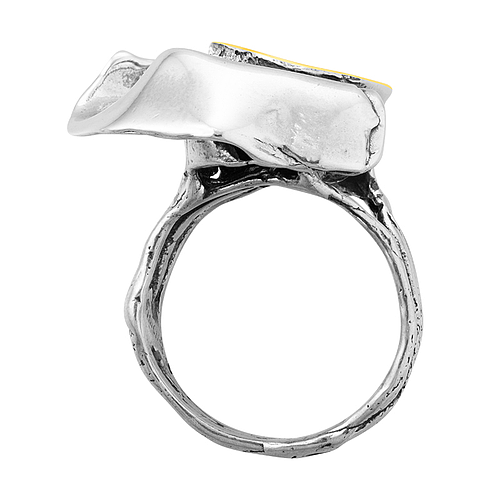 Silver and Gold Ring