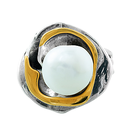 Silver and Gold Ring