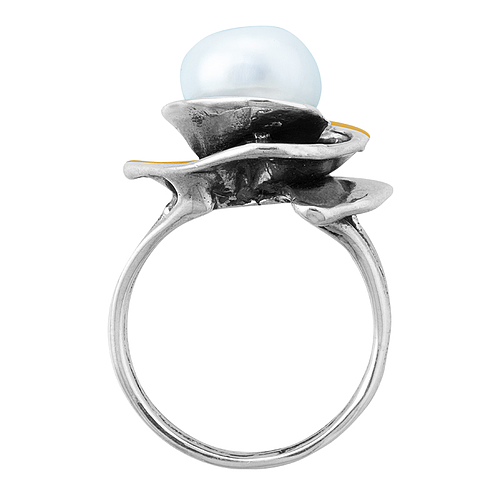 Silver and Gold Ring