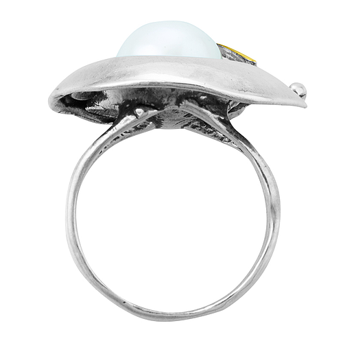 Silver and Gold Ring