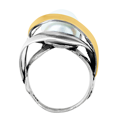 Silver and Gold Ring