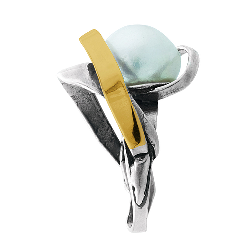 Silver and Gold Ring