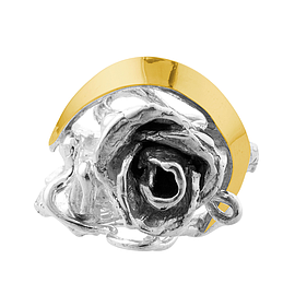 Silver and Gold Ring 