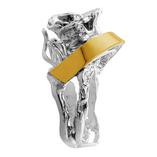 Silver and Gold Ring 