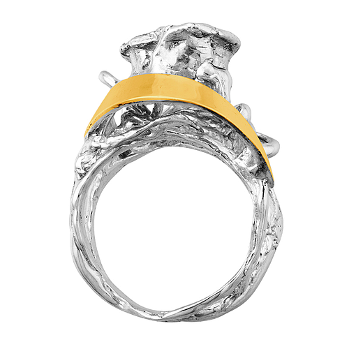 Silver and Gold Ring 