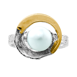 Silver and Gold Ring