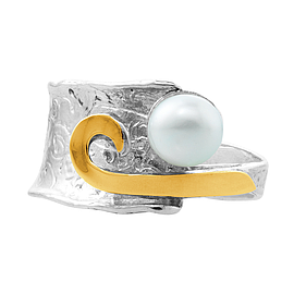 Silver and Gold Ring