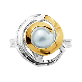 Silver and Gold Ring