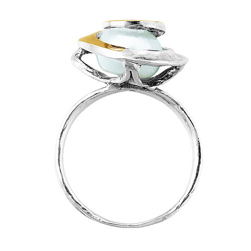 Silver and Gold Ring