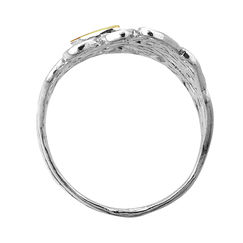 Silver and Gold Ring