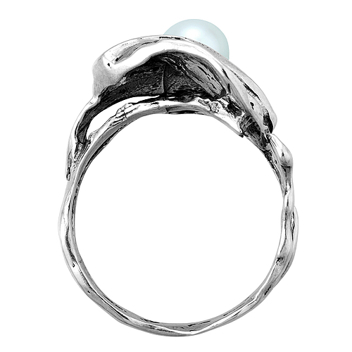 Silver and Gold Ring