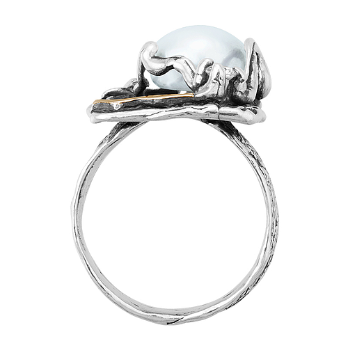 Silver and Gold Ring