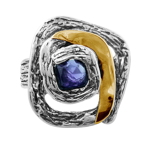 Silver and Gold Ring