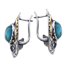 Silver and Gold Earrings