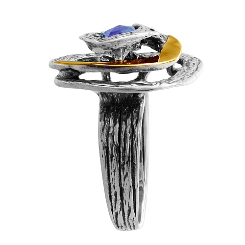 Silver and Gold Ring