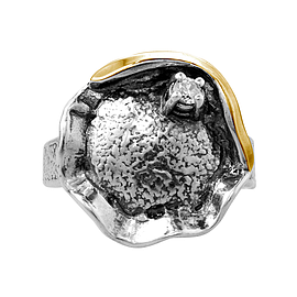 Silver and Gold Ring