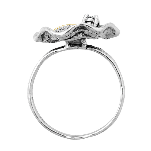 Silver and Gold Ring