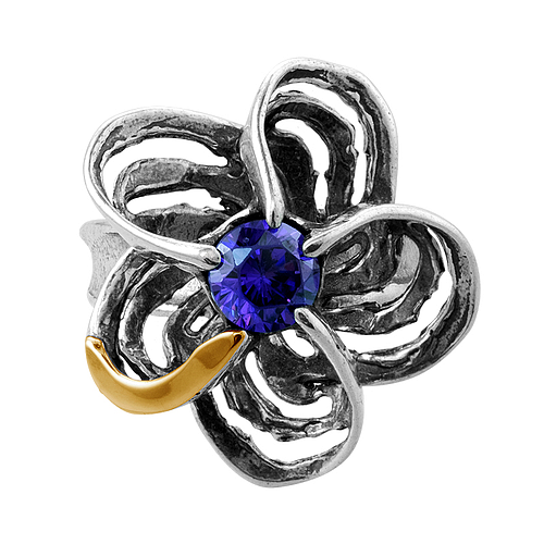 Silver and Gold Ring