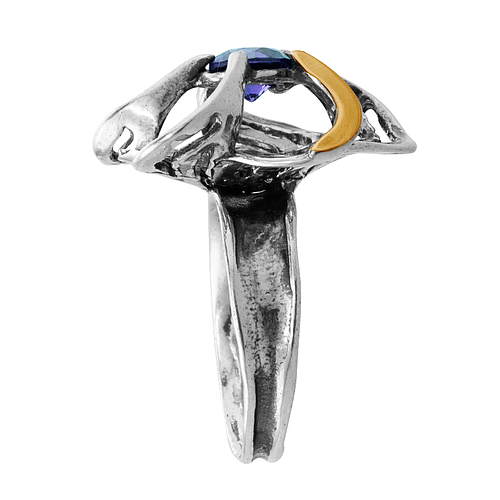 Silver and Gold Ring