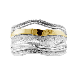 Silver and Gold Ring