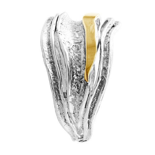 Silver and Gold Ring (copy)