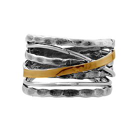 Silver and Gold Ring