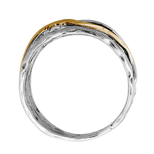 Silver and Gold Ring