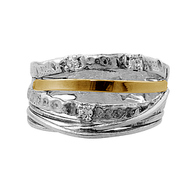 Silver and Gold Ring