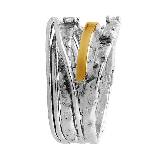 Silver and Gold Ring