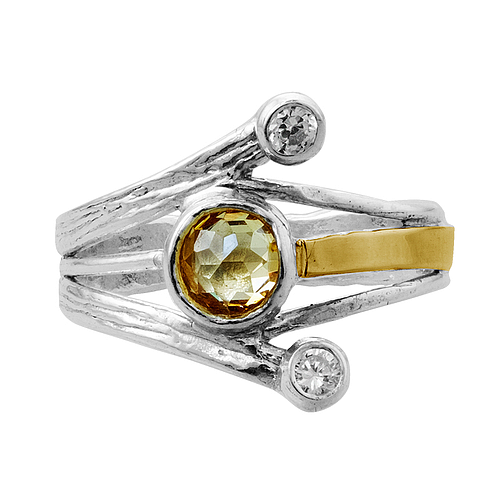 Silver and Gold Ring