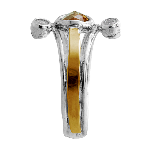 Silver and Gold Ring