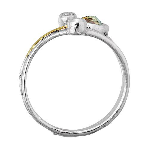 Silver and Gold Ring