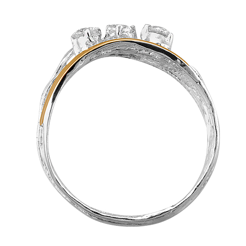 Silver and Gold Ring